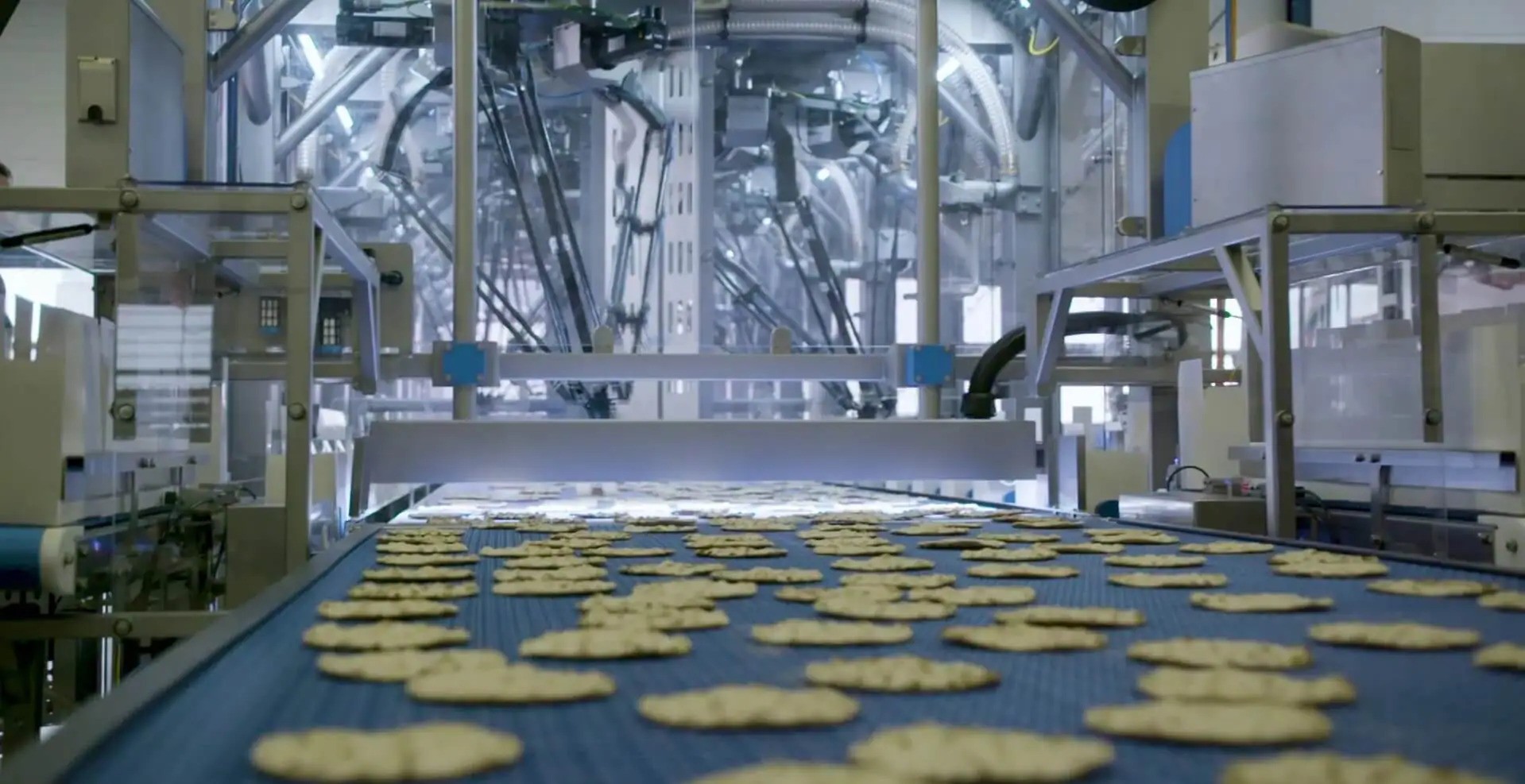 Robot Food Processing Delta