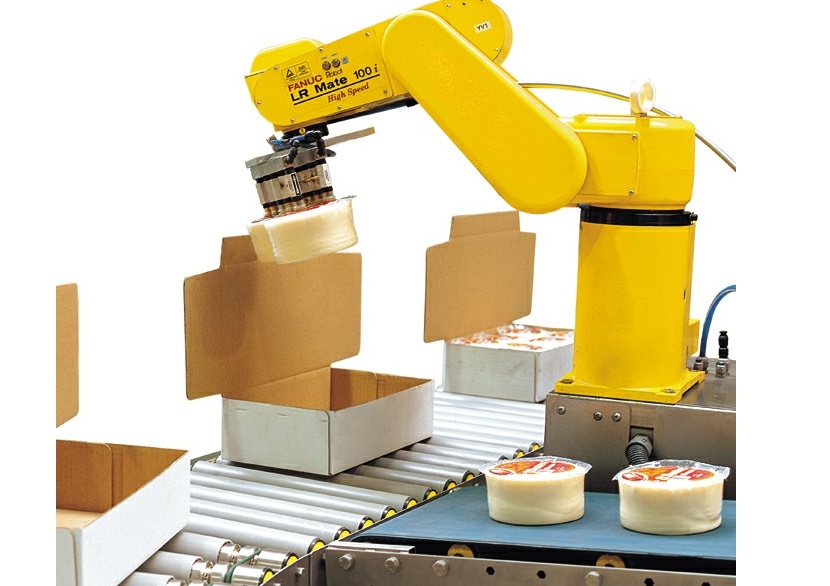Robot Food Case Packing